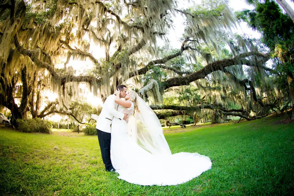 Tonya-Beaver-Photography.jpg - Jacksonville Florida Wedding Photography | Tonya Beaver Photography jacksonville wedding photographer; JACKSONVILLE WEDDINGS; JACKSONVILLE WEDDING PHOTOS; JACKSONVILLE WEDDING PICTURES; JACKSONVILLE WEDDING PHOTOGRAPHER; JACKSONVILLE WEDDING PHOTOGRAPHY; JACKSONVILLE FLORIDA WEDDINGS; NORTH FLORIDA WEDDINGS; TONYA BEAVER PHOTOGRAPHY; jacksonville photographers; photographer jacksonville fl;